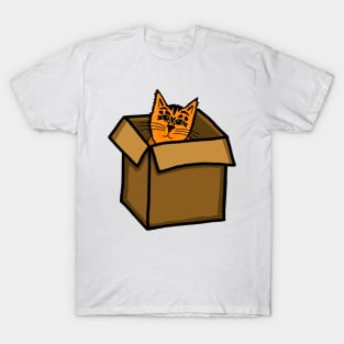 Orange Tabby Cat Hiding in a Cardboard Box T-Shirt